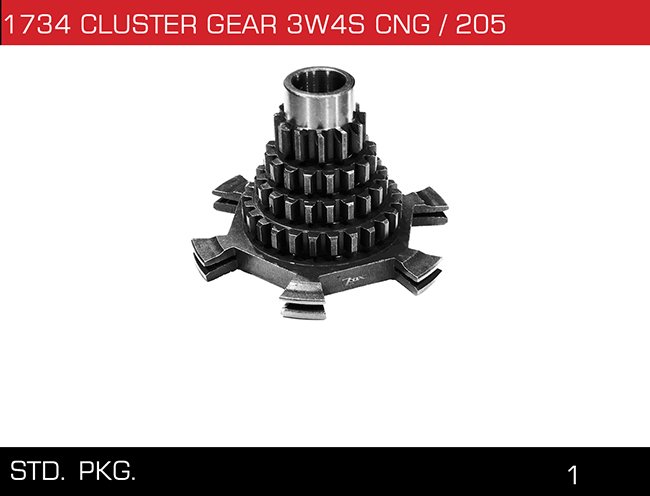 1734 CLUSTER GEAR 3W4S CNG 205